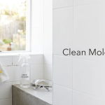 How to Clean Bathroom Mold Safely featured image