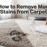 How to Remove Mud Stains from Carpet featured image