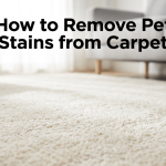 How to Remove Pet Stains from Carpet featured image