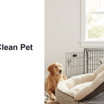 How to Clean Pet Bedding featured image