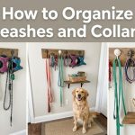 How to Organize Leashes and Collars featured image