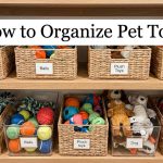 How to Organize Pet Toys featured image