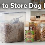 How to Store Dog Food featured image